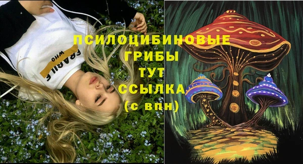 марки nbome Лабытнанги